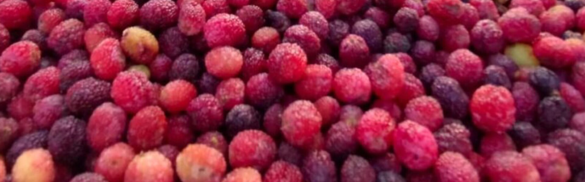 Organic juices from Uttarakhand's local fruits, including Malta, Buransh, and Kafal.